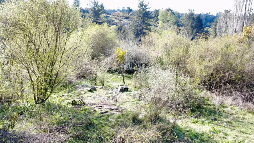 HERMOSA  PARCELA ,SECTOR RAHUE DE 20,12 HECTAREAS COMUNA DE GALVARINO , REGION DE LA ARAUCANIA