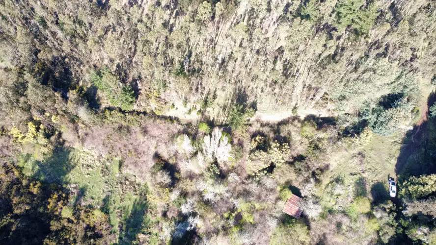 HERMOSA  PARCELA ,SECTOR RAHUE DE 20,12 HECTAREAS COMUNA DE GALVARINO , REGION DE LA ARAUCANIA