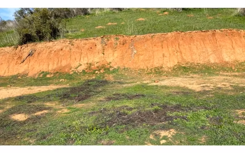 Gran Parcela Curacaví 24.510 M2, Hacienda El Mauco
