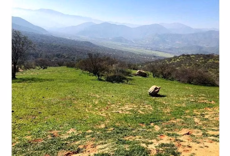 Gran Parcela Curacaví 24.510 M2, Hacienda El Mauco