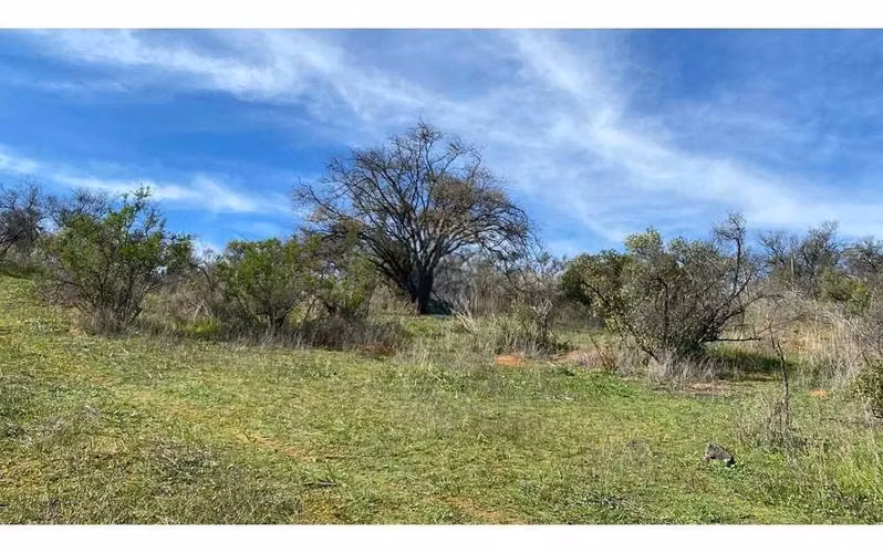 Gran Parcela Curacaví 24.510 M2, Hacienda El Mauco