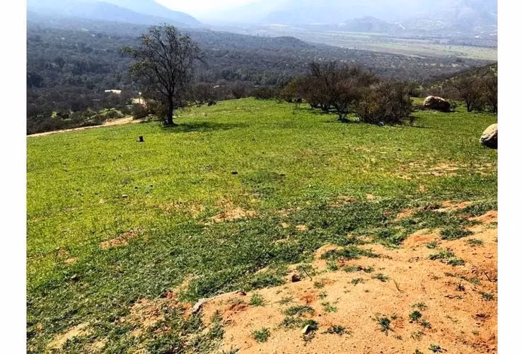 Gran Parcela Curacaví 24.510 M2, Hacienda El Mauco