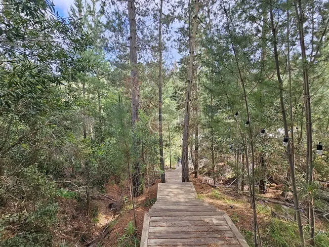 Parcela en venta en Pichilemu - Imagen 26