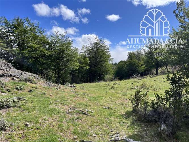 Parcela en venta en Coihaique - Imagen 8