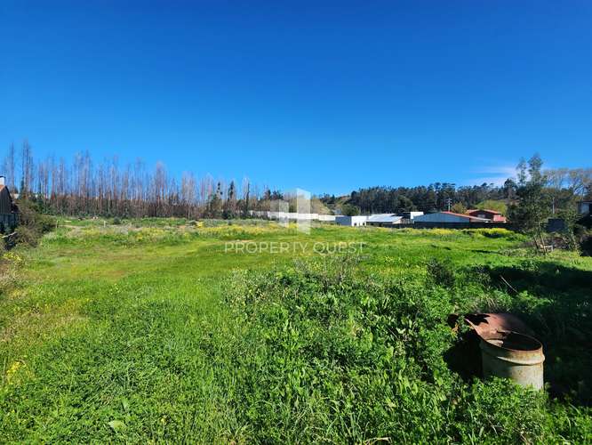 VENTA TERRENO INMOBILIARIO HABITACIONAL PENCO