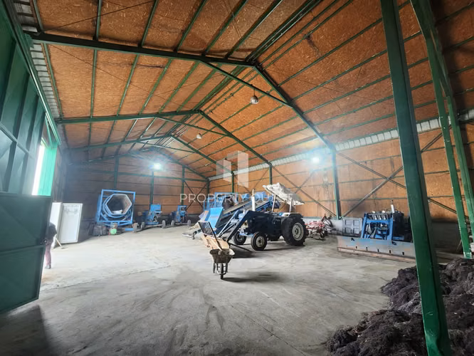 VENTA AMPLIO TERRENO INDUSTRIAL SECTOR PLANTA MASISA - CABRERO