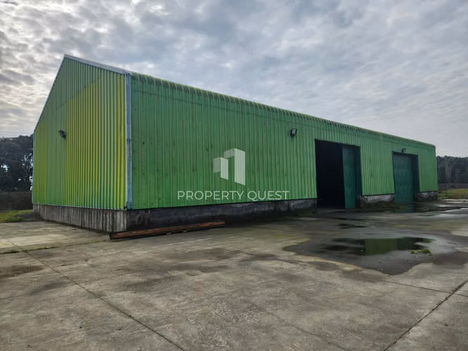 VENTA AMPLIO TERRENO INDUSTRIAL SECTOR PLANTA MASISA - CABRERO