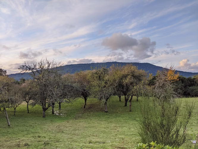 AMR PROPIEDADES VENDE PARCELA EN LAGO RUPANCO, CERCANA A CAMINO Y LAGO