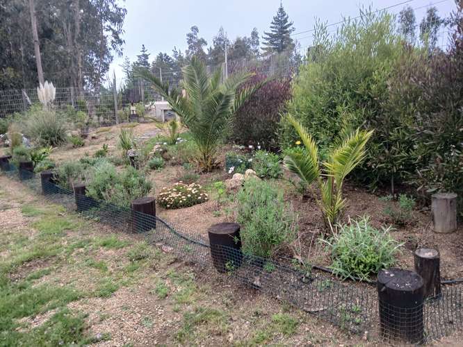 AMR PROPIEDADES VENDE, Casa EN condominio Huallilemu Algarrobo