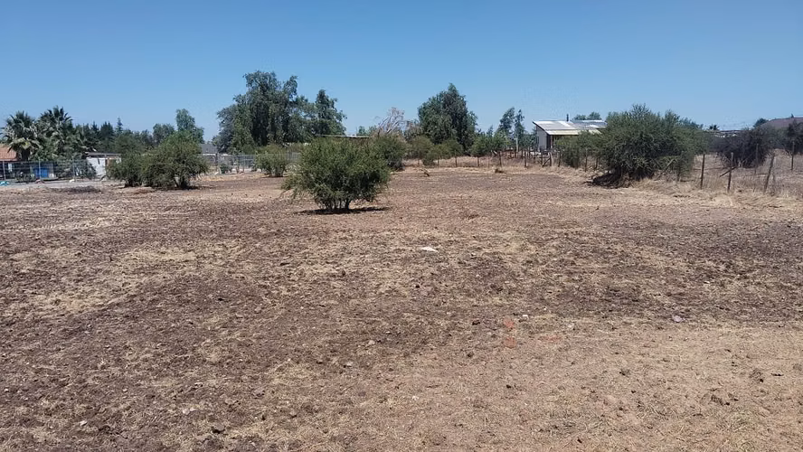 Parcela 5.000 m2, urbanizada, plana, seguridad 24/7, acceso controlado.