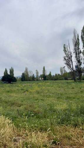 INVERSIONISTAS: PARCELA PREMIUM 2,267 HAS (185973) - Imagen 2