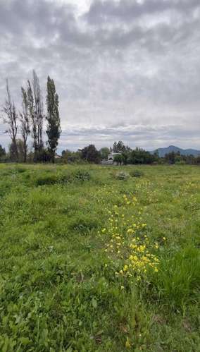 INVERSIONISTAS: PARCELA PREMIUM 2,267 HAS (185973) - Imagen 5