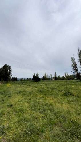 INVERSIONISTAS: PARCELA PREMIUM 2,267 HAS (185973) - Imagen 4