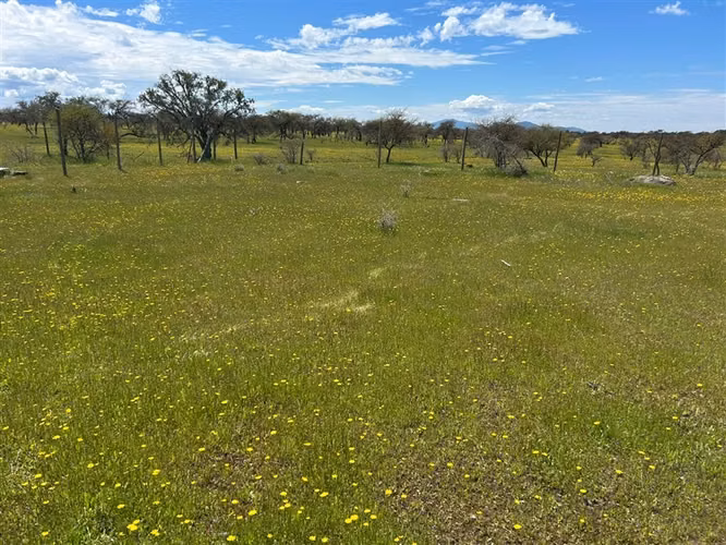Sitio en venta en San Ramon, Cauquenes - Imagen 10