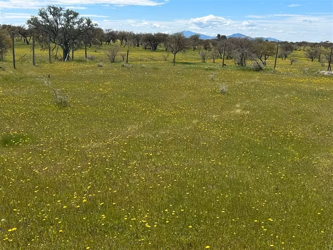 Sitio en venta en San Ramon, Cauquenes