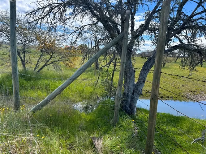 Sitio en venta en San Ramon, Cauquenes - Imagen 5