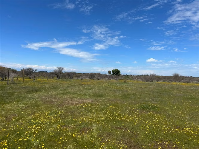 Sitio en venta en San Ramon, Cauquenes - Imagen 9