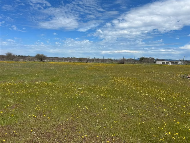 Sitio en venta en San Ramon, Cauquenes - Imagen 3