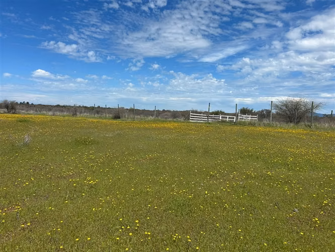 Sitio en venta en San Ramon, Cauquenes - Imagen 8
