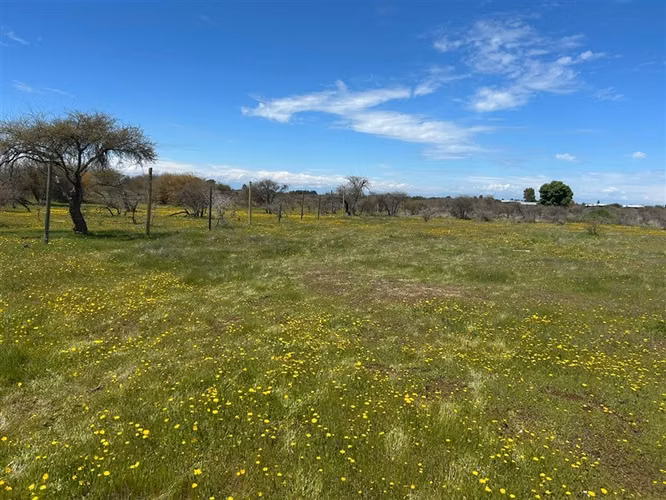 Sitio en venta en San Ramon, Cauquenes - Imagen 2