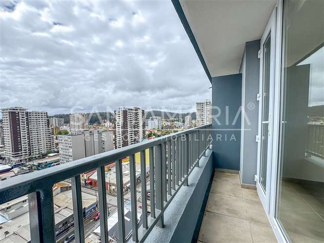Arriendo Depto. 1 Ambiente en calle Maipú, Concepción centro - Imagen 3