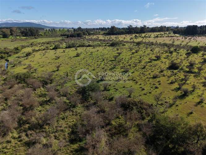 Parcela en venta de 8Ha, a orilla de camino - Imagen 15
