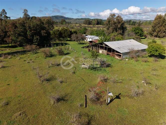 Parcela en venta de 8Ha, a orilla de camino - Imagen 8