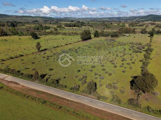 Parcela en venta de 8Ha, a orilla de camino - Imagen 3