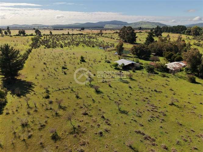 Parcela en venta de 8Ha, a orilla de camino - Imagen 23