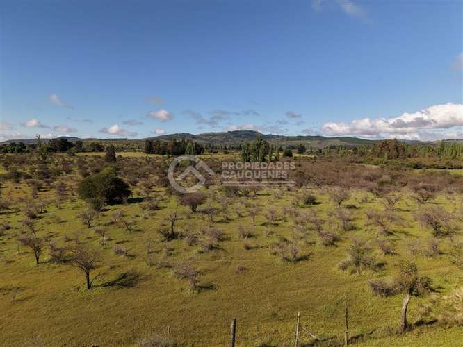 Parcela en venta de 8Ha, a orilla de camino - Imagen 18