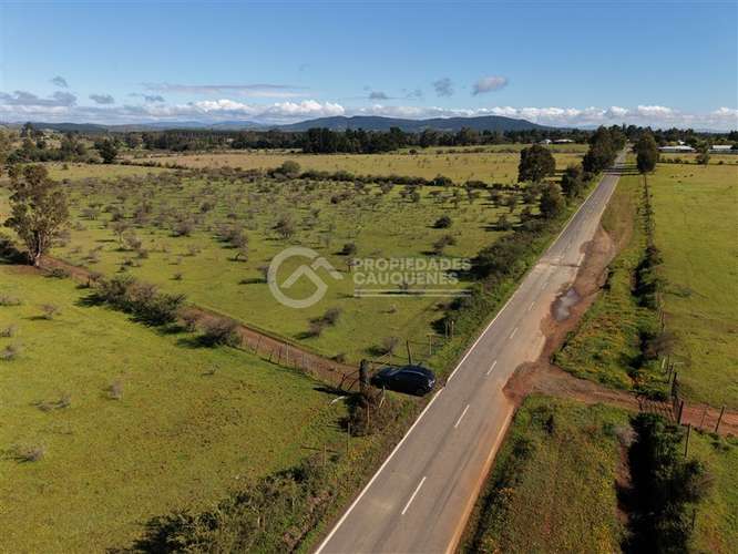 Parcela en venta de 8Ha, a orilla de camino