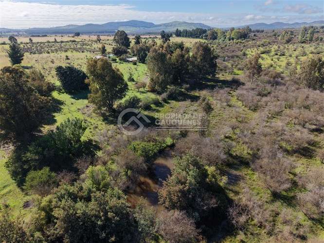 Parcela en venta de 8Ha, a orilla de camino - Imagen 19