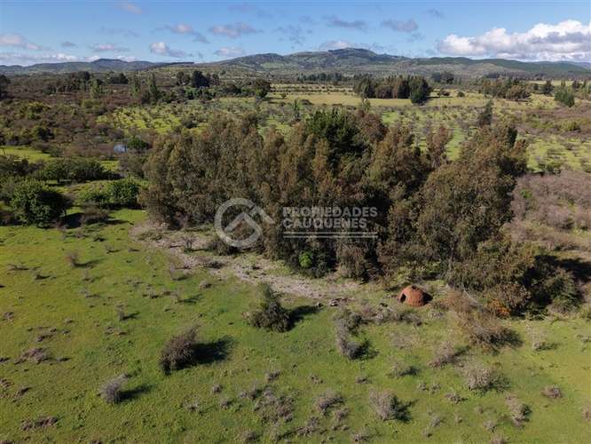 Parcela en venta de 8Ha, a orilla de camino - Imagen 22