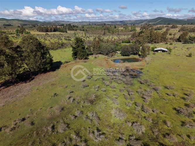 Parcela en venta de 8Ha, a orilla de camino - Imagen 5