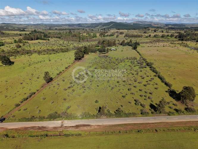 Parcela en venta de 8Ha, a orilla de camino - Imagen 4