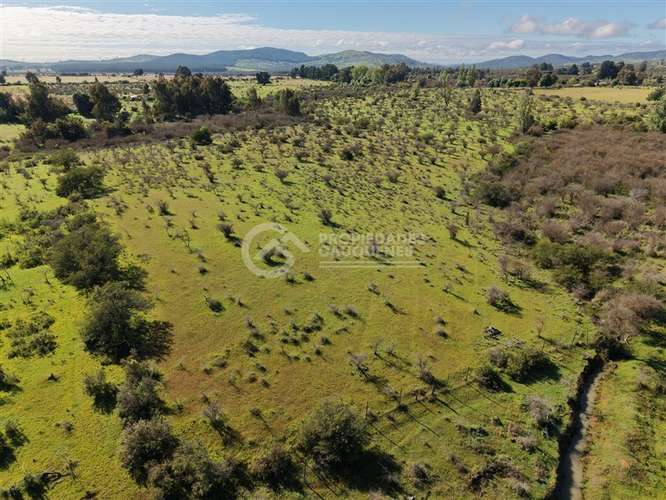 Parcela en venta de 8Ha, a orilla de camino - Imagen 17