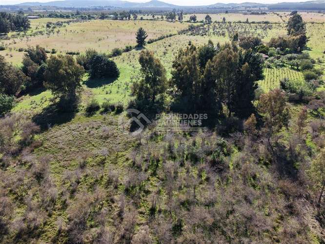 Parcela en venta de 8Ha, a orilla de camino - Imagen 13