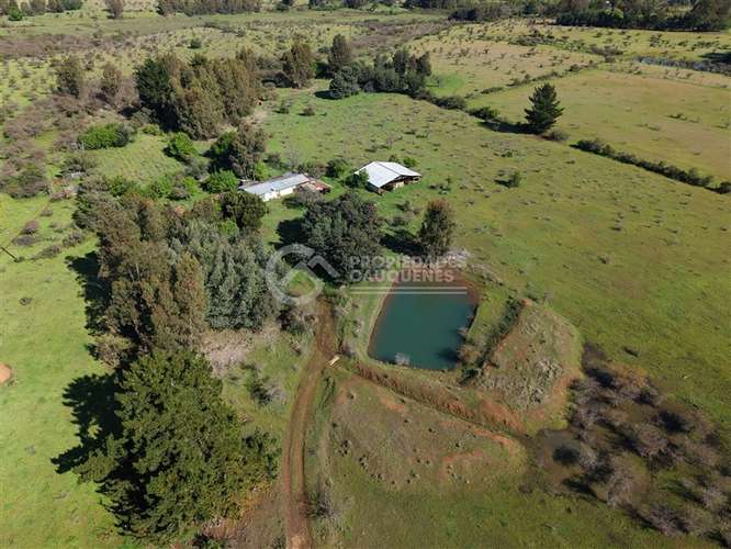 Parcela en venta de 8Ha, a orilla de camino - Imagen 6