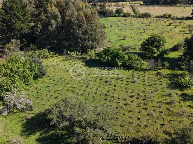 Parcela en venta de 8Ha, a orilla de camino - Imagen 12