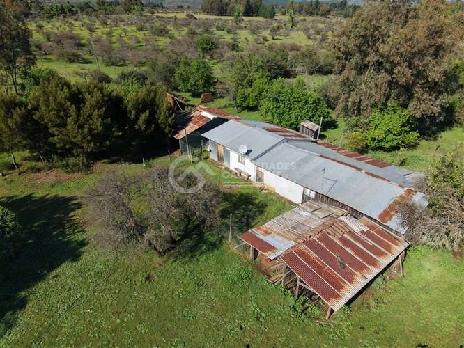 Parcela en venta de 8Ha, a orilla de camino - Imagen 10