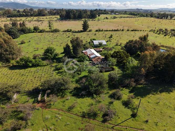 Parcela en venta de 8Ha, a orilla de camino - Imagen 7