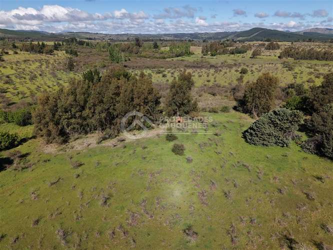 Parcela en venta de 8Ha, a orilla de camino - Imagen 21
