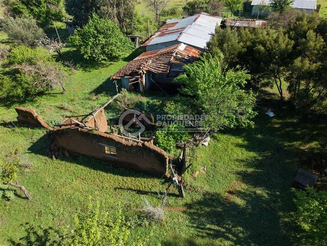 Parcela en venta de 8Ha, a orilla de camino - Imagen 11