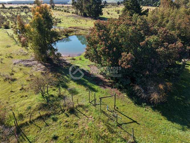 Parcela en venta de 8Ha, a orilla de camino - Imagen 9