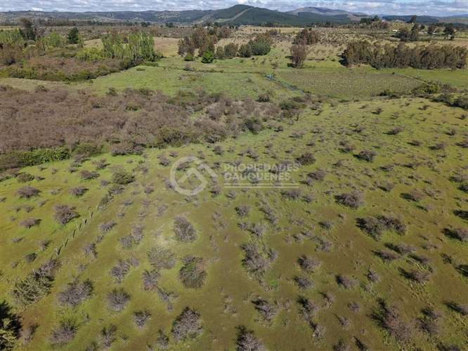 Parcela en venta de 8Ha, a orilla de camino - Imagen 14