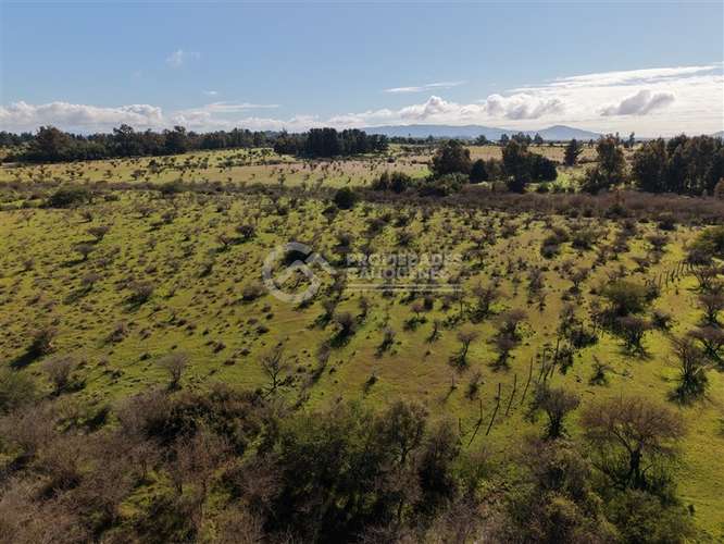 Parcela en venta de 8Ha, a orilla de camino - Imagen 16