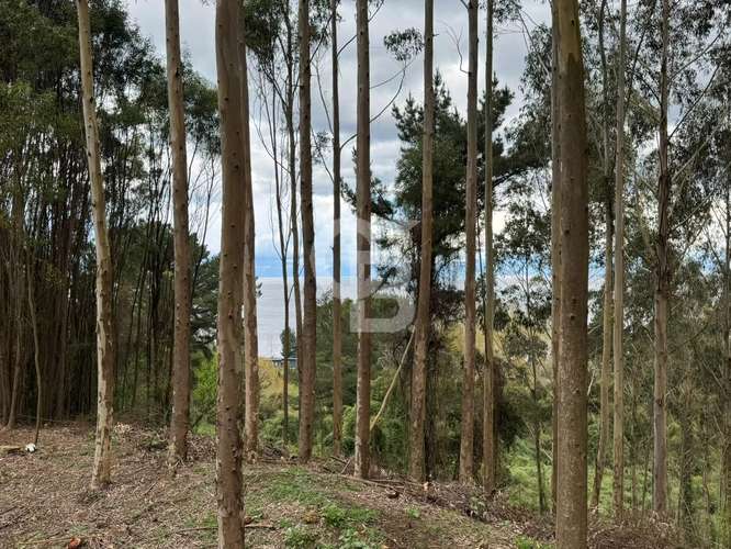 Naturaleza Privilegiada, vista a lago y volcanes, playa