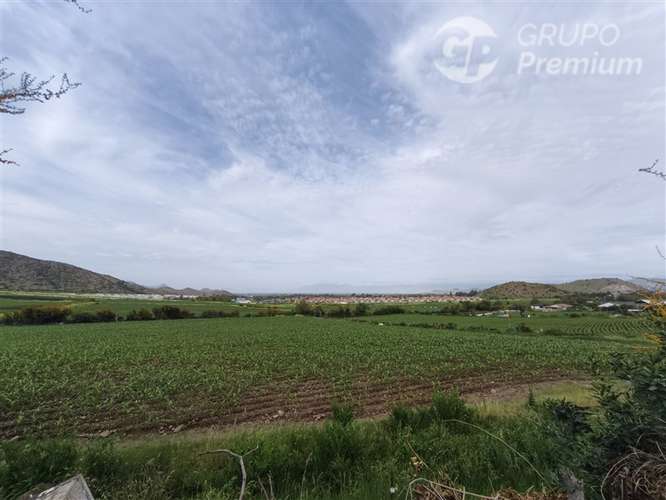 Venta 14.230 m en 5 lotes con rol Chicureo Norte - Imagen 7