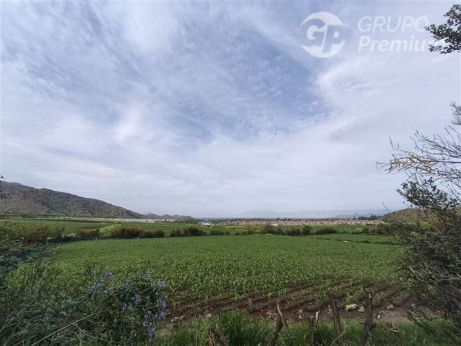 Venta 14.230 m en 5 lotes con rol Chicureo Norte
