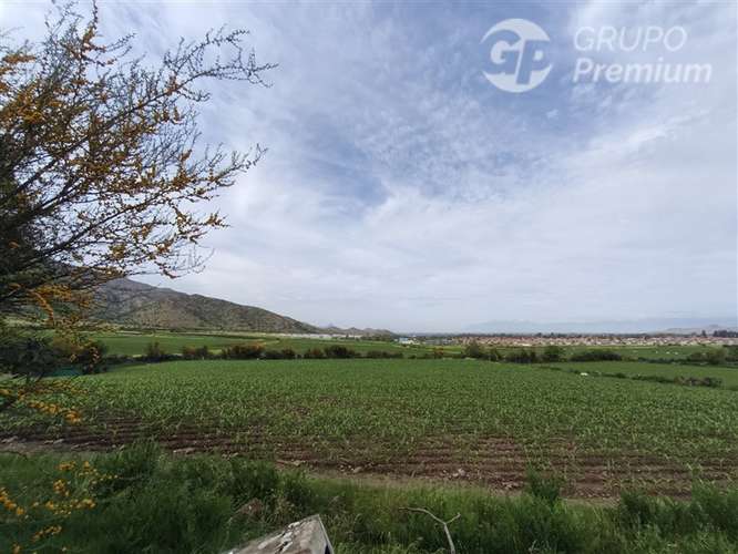 VENTA Lote 1 2.906 m con rol propio Chicureo Norte - Imagen 6